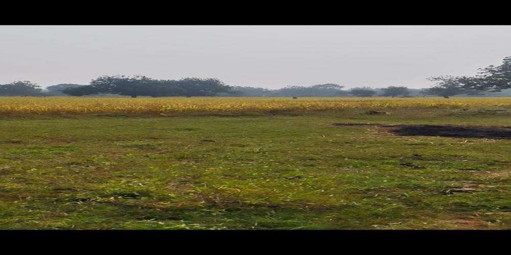 agriculture property